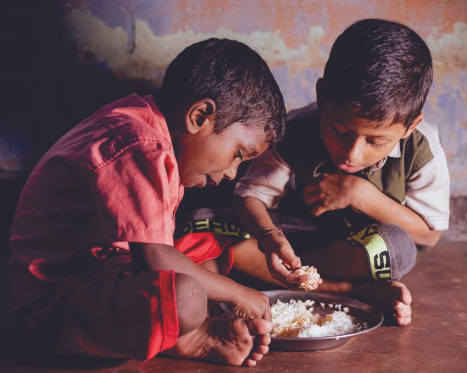 Food Distribution image 3
